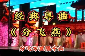 经典粤曲《分飞燕》，分飞万里隔千山。几代人的至爱，百听不厌。视频封面