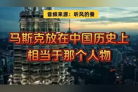 听风的蚕：马斯克放在中国历史上相当于哪个人物？视频封面