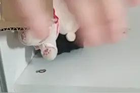 棉花娃娃布置床铺。视频封面