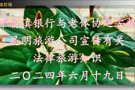 金融法律法规宣传视频封面