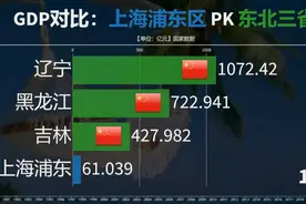 上海含金量最高的浦东区，有多强？能超过东北三省？看GDP对比