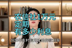 农村信用社1万元定期能有多少利息视频封面