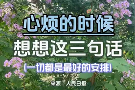 《心烦的时候，想想这三句话》慢慢来，一切都是最好的安排视频封面