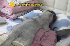 被猫咪疯狂黏人是啥体验？心都被萌化，太治愈啦。视频封面