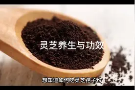 灵芝功效与作用视频封面