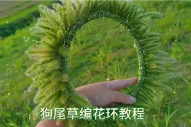 狗尾巴草编花环教程视频封面