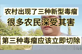 农村出现三种不好的人，三个祸害，广大农民深受其害视频封面
