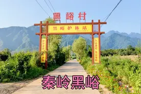 秦岭黑峪，山谷中植被茂密，大黑峪沟瀑布壮观，适合避暑休闲娱乐视频封面