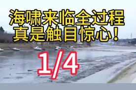 海啸来临全过程，震撼人心！灾难来临赶紧往高处跑，千万别回头。视频封面