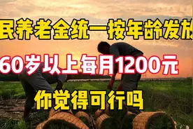 农民养老金统一按年龄发放，60岁以上每月1200元，你觉得可行吗？视频封面