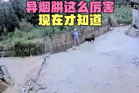 原来是异烟肼惹的祸，初看我还想谁有这么厉害的屁呢😂