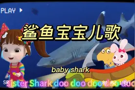 鲨鱼宝宝儿歌baby shark嘟嘟嘟嘟#儿歌100首最火 #0到3岁早教儿歌