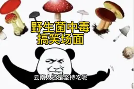 禁止废话：吃野生菌中毒会有哪些搞笑场面？视频封面