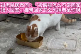 老鼠异化成人问我：“真爱猫不带回家？”猫带回家怎么捉老鼠你呢视频封面