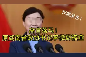高官落马！原湖南省政协书记李微微被查视频封面