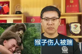遭遇野猴袭击可以踹他吗？被猴子咬伤谁负责？视频封面