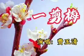 费玉清原唱《一剪梅》熟悉的旋律动听的歌声回到童年 重温经典