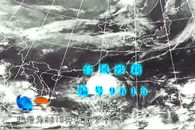 回顾1996年广东湛江19615号强台风