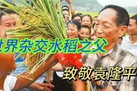一生只做两件事的袁隆平 致敬袁隆平爷爷#袁隆平 #国士无双视频封面