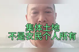 集体所有土地和国有土地都是国家的！集体土地不是农民个人的！视频封面