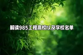解密985工程高校名单，揭秘顶尖名校！视频封面