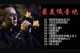 赵鹏最美低音炮，10首经典歌曲带你感受低音魅力！🎤🎵🎶