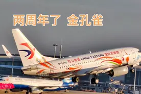 两周年了，有想念MU5735的吗？实拍东航波音737金孔雀起降过程视频封面