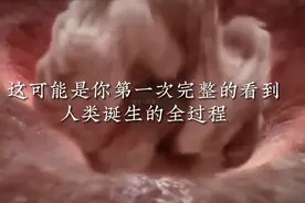 生命诞生全过程有多神奇，你是如何从小蝌蚪变成人的？ #科普