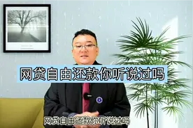 网袋自由还款你听说过吗视频封面