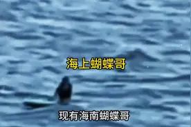 10岁男孩台风天独自划桨板出海，漂流5小时