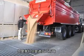 粮食才是中美争夺最激烈的领域，中储粮以一刚四暴打四大国际粮商视频封面