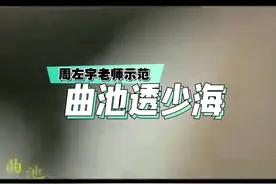 倪师的老师周左宇先生针灸示范，曲池透少海