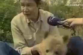 天津动物园养熊大爷十四年前喂养三只小马熊的珍贵视频，弥足珍贵视频封面