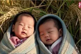 农民在农田里发发现2个婴儿带回家.十天后.家里竟收到神秘礼物视频封面