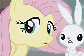 柔柔与安吉尔互换身体后第一件事是要嫁给无序 #小马宝莉