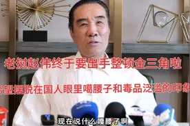 祖籍黑龙江的赵伟终于要出手整顿金三角啦，噶腰子和毒品问题最大视频封面