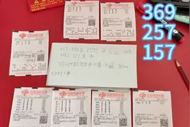 3D彩民很给力，077期昨晚开336又被他拿捏视频封面