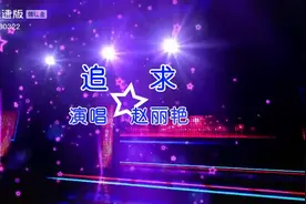 《追求》赵丽艳。一个非常具有时代感的旋律。你感动了吗？视频封面