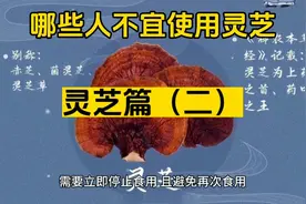 哪些人不宜使用灵芝！视频封面