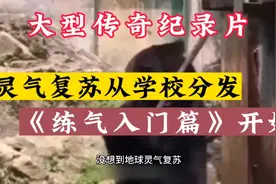 万万没想到，地球灵气复苏竟是从学校分发《练气入门篇》开始