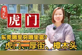 一句话介绍东莞地名由来：虎门、厚街、樟木头、麻涌、望牛墩镇视频封面