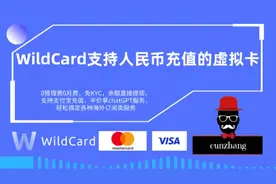WildCard万事达卡，支持人民币充值的虚拟卡，支持各种订阅类服务视频封面