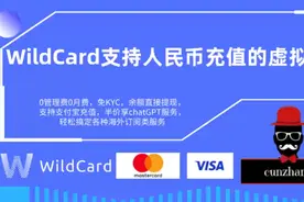 WildCard万事达卡，支持人民币充值的虚拟卡，支持各种订阅类服务视频封面