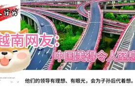 国内高架桥上种满鲜花。越南网友：太羡慕了，中国美得令人窒息。视频封面