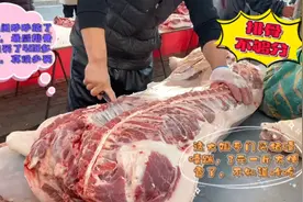 北方人买猪肉就霸气，一车排骨不够分，大姐专买囊囊踹，这可咋吃