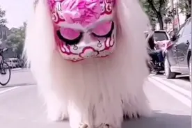 过三周年小白狮路祭三十六拜菏泽民间风俗民俗传统文化地方风俗