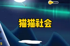 猫猫社会视频封面