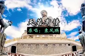 👍👍袁凤瑛的《天若有情》是一首充满情感的经典老歌
