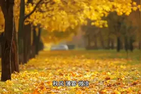 保持正念正言正行，才能跳出轮回，收获善意与祥和！视频封面