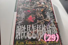 世界文学名著《钢铁是怎样炼成的》〔俄〕尼.奥斯特洛夫斯基 29